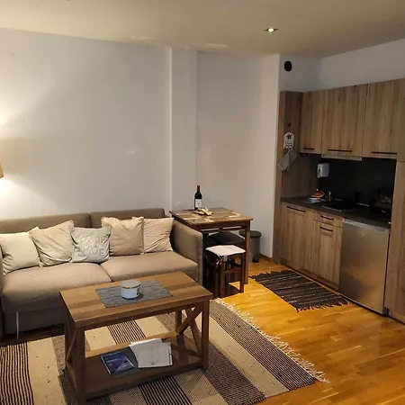 Apartment Ema, Blizu Gondole - Kopaonik